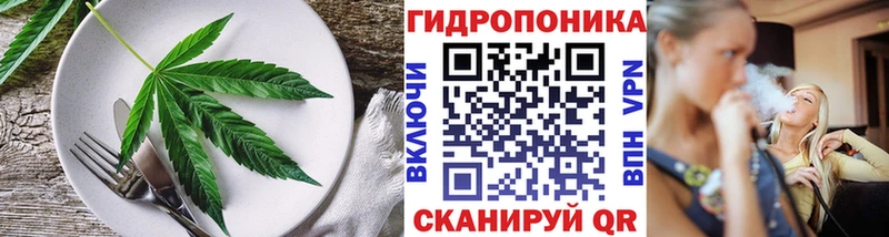Canna-Cookies марихуана  даркнет сайт  Губкинский 