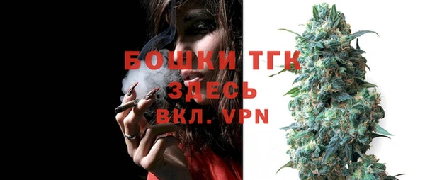 винт Елабуга