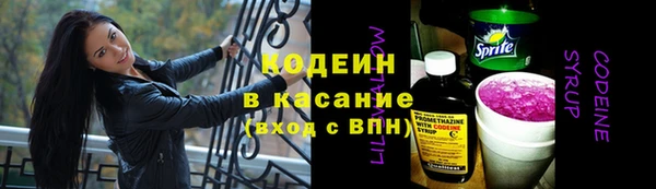 мяу мяу мука Дмитриев