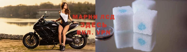 мяу мяу мука Дмитриев