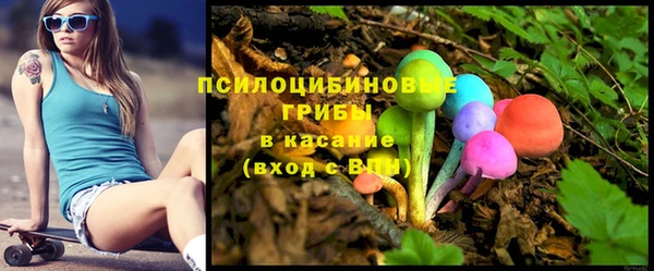винт Елабуга