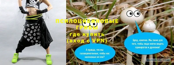 прущий лед Дмитровск